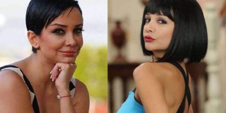 Evrim Akın kimdir, kaç yaşında, nereli? Evrim Akın hangi dizilerde rol aldı?