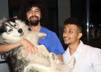 Köpek İstanbul’da kayboldu, Keşan’da bulundu!