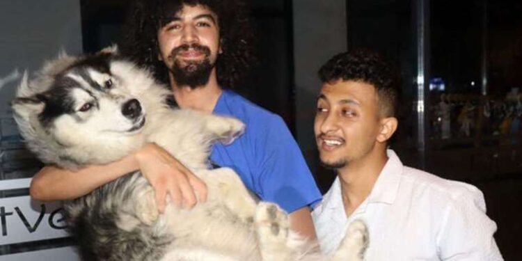 Köpek İstanbul’da kayboldu, Keşan’da bulundu!