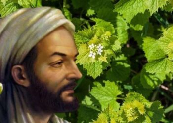 İbn-i Sina binlerce yıl önce önermişti! Evde doğal yöntemlerle saçkıran tedavisi nasıl yapılır?