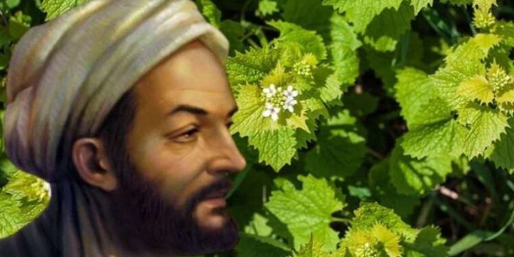İbn-i Sina binlerce yıl önce önermişti! Evde doğal yöntemlerle saçkıran tedavisi nasıl yapılır?