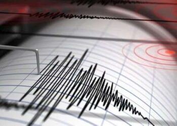 Prof. Dr. Şener Üşümezsoy Adana için uyardı: 7’lik bir deprem yapabilir!