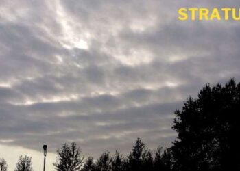 Stratus ne demek? Stratus kelimesinin anlamı ne? Stratus bulut ne demek?