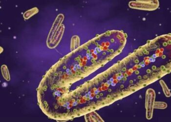 Pirola varyantı nedir? Pirola varyantı belirtileri nedir? Pirola varyantı ölümcül mü?