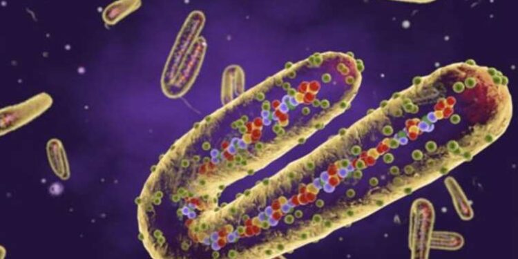 Pirola varyantı nedir? Pirola varyantı belirtileri nedir? Pirola varyantı ölümcül mü?