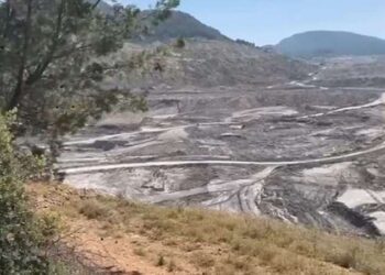 Türk Toraks Derneği’nden ‘Akbelen’ uyarısı!