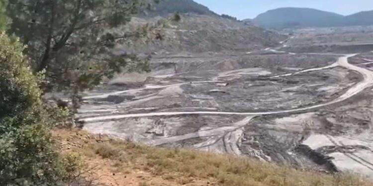 Türk Toraks Derneği’nden ‘Akbelen’ uyarısı!