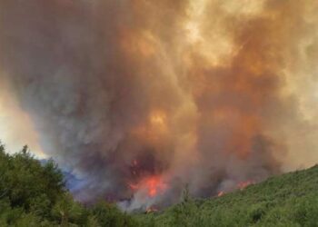 Türk Toraks Derneği’nden ‘orman yangını’ alarmı: ‘Gerekli önlemler alınmazsa…’