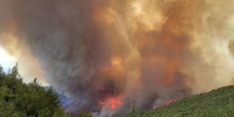 Türk Toraks Derneği’nden ‘orman yangını’ alarmı: ‘Gerekli önlemler alınmazsa…’