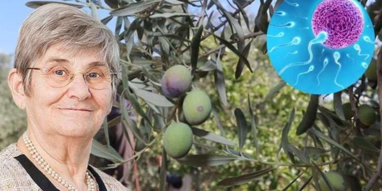 Zeytini yanlış tüketiyormuşuz! Prof. Dr. Canan Karatay açıkladı: Kısır kalırsınız