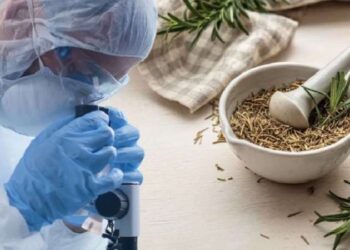 Karaciğer kanseri tedavisinde umut olabilir! Kıbrıs’ta yetişiyor…