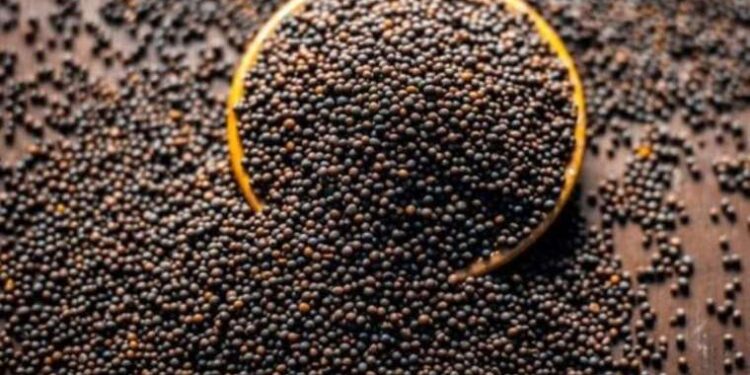 1 çay kaşığı kullanarak göz altı morluklarından sonsuza kadar kurtulmak mümkün