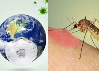 Sivrisinekler öyle bir hastalık bulaştırıyorlar ki kemikleriniz kırılıyor! Pandemiye dönüşebilir…