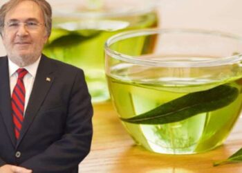 Günde 1 bardak için böbrek taşına veda edin! İbrahim Saraçoğlu öneriyor…