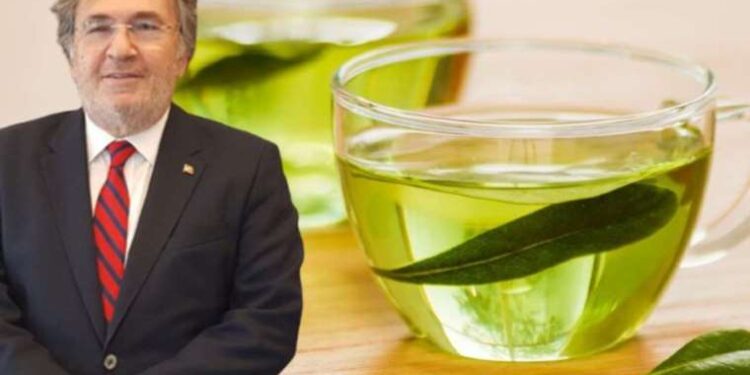 Günde 1 bardak için böbrek taşına veda edin! İbrahim Saraçoğlu öneriyor…