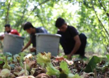 Binlerce kilometro yol katediyorlar: 450 liraya yapilacak iş mi?