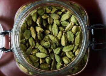 Doğanın şifalı hazinesi: Mide sorunlarından kansere doğal kalkan