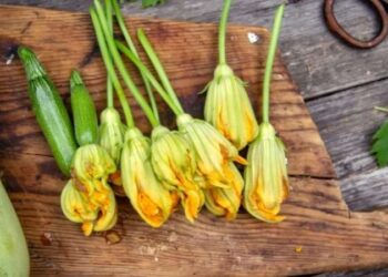 Doğal bir detoks kaynağı: Faydaları saymakla bitmiyor…