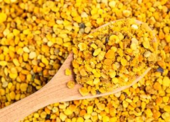 Perga: Antik Yıllarda Tanrıların Besini