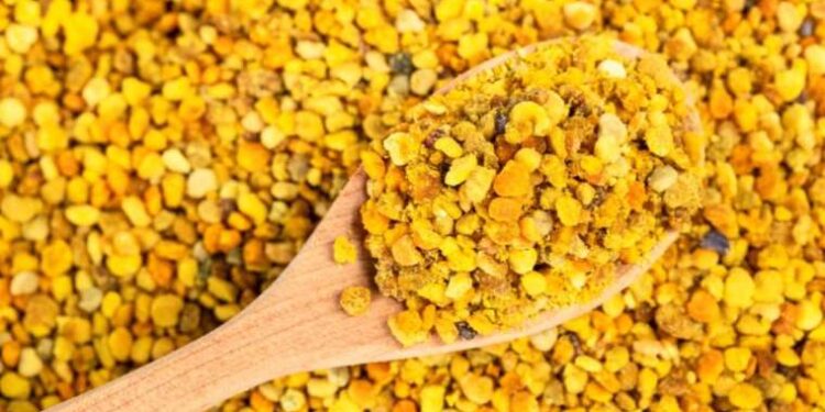 Perga: Antik Yıllarda Tanrıların Besini