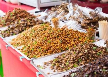 Gıdaya erişim zorlaştıkça geleceğin protein seçenekleri de çeşitlendi: Et yerine böcek yemeye hazır olun