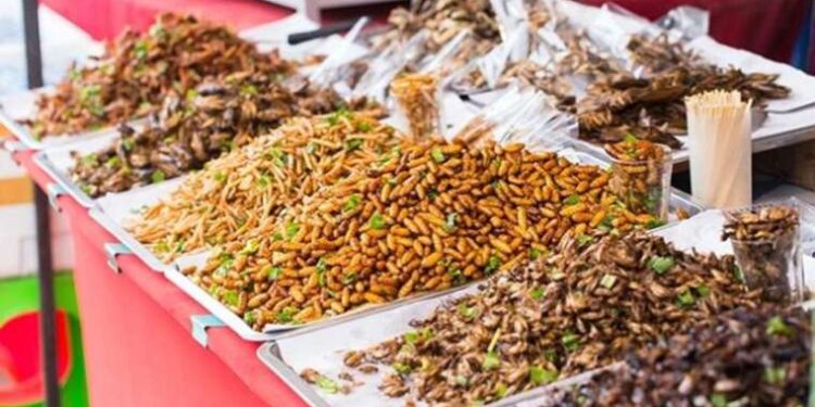 Gıdaya erişim zorlaştıkça geleceğin protein seçenekleri de çeşitlendi: Et yerine böcek yemeye hazır olun