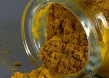 1 tatlı kaşığı tüketildiğinde hafızayı uçuşa geçiren tek baharat