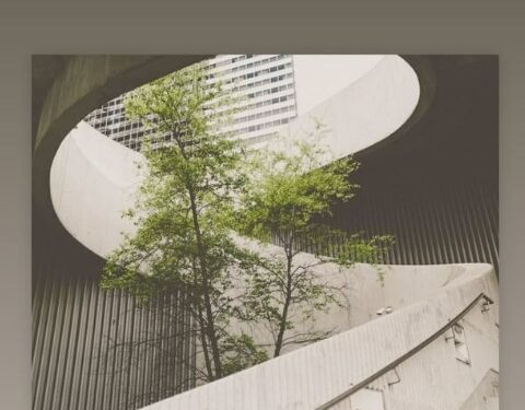 Kaza geçiren Ali Sabancı yaşam mücadelesi verirken Melisa Sabancı'nın yaptığı sanat paylaşımı tepki çekti