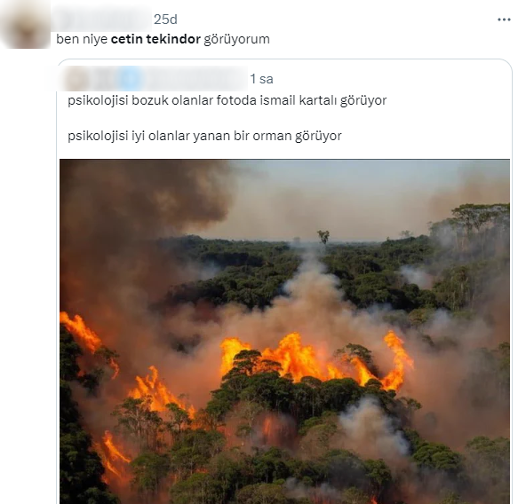 Sosyal medyada gündem olan yangın fotoğrafı! Herkes aynı ünlü ismi görüyor