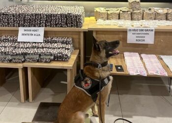 Kuruyemiş paketlerinden kilolarca uyuşturucu çıktı