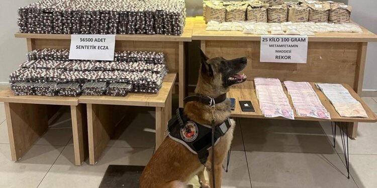 Kuruyemiş paketlerinden kilolarca uyuşturucu çıktı