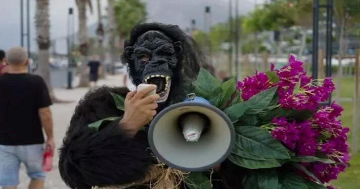 Şarkıcı Aydın Aydın, maymun çiçeği hastalığına dikkat çekmek için goril kostümü giydi