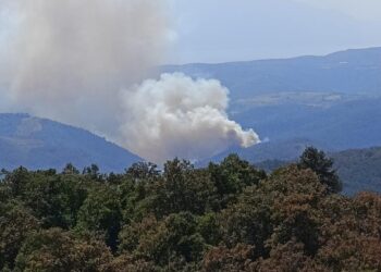 Bursa’da orman yangını: Ekipler müdahale ediyor