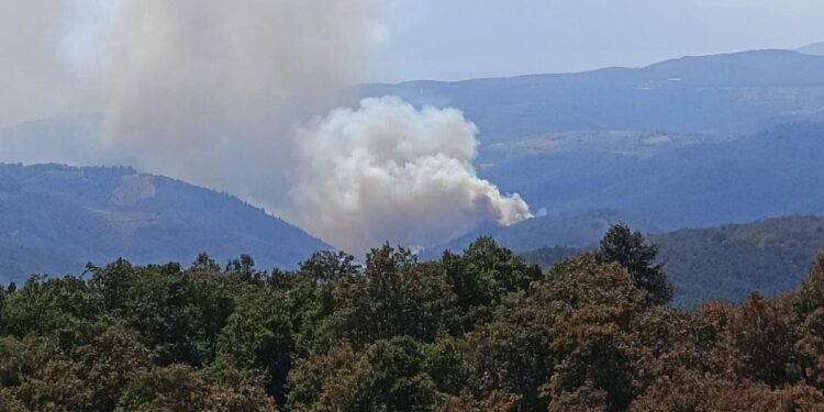 Bursa’da orman yangını: Ekipler müdahale ediyor