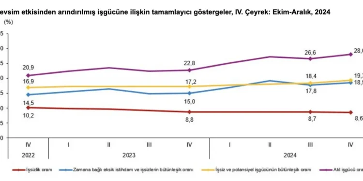 "Geçen yılın son çeyreğinde işsizlik %8,6'ya düştü"