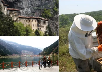 Doğu Karadeniz'de tarım ve turizmde yeni atılımlar