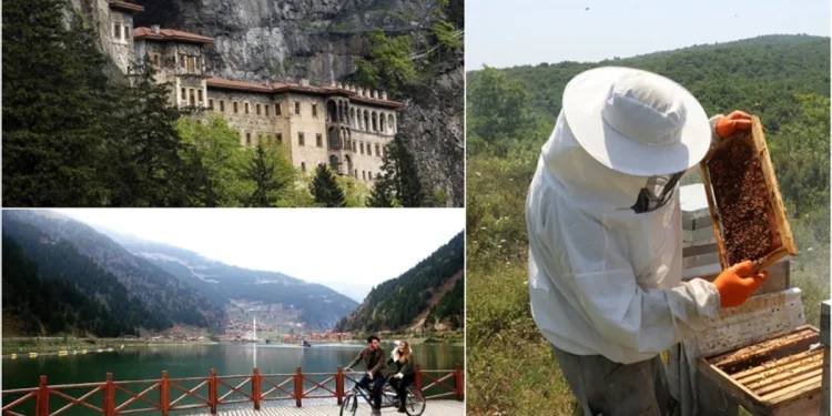 Doğu Karadeniz'de tarım ve turizmde yeni atılımlar