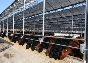 Kırsalda Bereket Projesi için başvuru tarihi yaklaşıyor