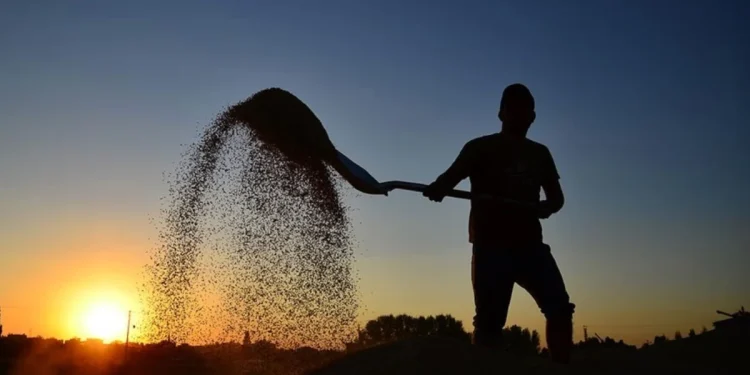 Çiftçilere 2,2 milyar TL tarımsal destek ödemesi yapılacak
