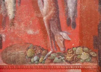 **Pompeii’de Efsanevi Bir Keşif: Kadın Avcıları ve Gizemli Dionysos Kültü** 03.03.2025 - 10:09 Haber Merkezi İtalya’nın ünlü antik kenti Pompeii’de arkeologlar, olağanüstü bir keşfe imza attı. Yeni bir kazı çalışması sırasında ortaya çıkarılan devasa bir fresk, antik bir kültün sırlarını gözler önüne seriyor. Bu nadir fresk, kadın figürlerinin erkek düzeninden sıyrılıp özgürce dans ettiği, avlandığı ve dağlarda çiğ et yediği sahneleri tasvir ediyor. Pompeii Arkeoloji Parkı tarafından duyurulan keşif, yeni kazılan Thiasus Evi'nde yapıldı. Fresk, neredeyse gerçek boyutlarında tasvir edilen figürleriyle dikkat çekiyor ve bir ziyafet salonunun üç duvarına yayılıyor. Dördüncü duvar ise bir bahçeye açılıyor. Parlak kırmızı bir arka planın önünde, şarap tanrısı Dionysos'un kadın takipçileri olan maenadlar yer alıyor. **Avcı Kadın Figürleri ve Mitolojik Yaratıklar** Freskteki kadın figürleri, ellerinde kılıçlarla ve omuzlarında kurban edilmiş keçilerle, avcı olarak tasvir ediliyor. Ayrıca, flüt çalan ve şarap sunarak kurban kesen satyrler —yarı keçi, yarı insan mitolojik yaratıklar— freskin önemli unsurları arasında. Freskin merkezinde, yaşlı bir satyr, genç bir kadını Dionysos’un gizemli kültüne kabul etmek üzere yer alıyor. Bu kült, en azından MÖ 5. yüzyıldan itibaren Yunan dünyasında varlık gösteriyordu ve ritüelleri büyük bir gizlilik içinde yapılıyordu. Ancak bu yeni keşif, o gizemli ritüellere dair değerli ipuçları sunuyor. **Gizemli Ritüeller ve Dionysos’un Bağlantıları** Dionysos'un gizemli ritüelleri, şarap tüketimi ve bilinç değiştirici maddelerin kullanımıyla bağlantılıydı. Bu maddeler, kült üyelerinin trans haliyle ritüellere katılmalarını sağlıyordu. Dionysos aynı zamanda yeniden doğan bir tanrı olarak kabul ediliyordu ve ölümden sonra dirilişle ilişkilendiriliyordu. Bu da, bu külte kabul edilenlere ölümsüzlük vaat edilmiş olabileceği ihtimalini doğuruyor. Pompeii’deki bu yeni keşif, Dionysos’un kültüyle ilgili en önemli ikinci fresk olma özelliğini taşıyor. Daha önce, 1909’da "Gizemler Villası"nda bulunan başka bir fresk de benzer şekilde Dionysos’un tarikatını ve kült üyelerinin kabul edilme anlarını tasvir etmişti, ancak bu freskte av sahneleri yer almıyordu. Bu nadir ve büyüleyici fresk, Pompeii’deki antik ritüellere dair daha fazla bilgi edinmemizi sağlıyor ve geçmişin gizemli kültlerine ışık tutuyor.