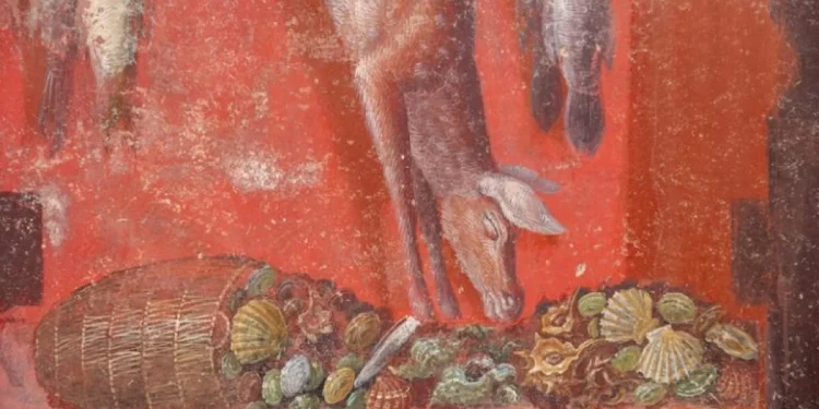 **Pompeii’de Efsanevi Bir Keşif: Kadın Avcıları ve Gizemli Dionysos Kültü** 03.03.2025 - 10:09 Haber Merkezi İtalya’nın ünlü antik kenti Pompeii’de arkeologlar, olağanüstü bir keşfe imza attı. Yeni bir kazı çalışması sırasında ortaya çıkarılan devasa bir fresk, antik bir kültün sırlarını gözler önüne seriyor. Bu nadir fresk, kadın figürlerinin erkek düzeninden sıyrılıp özgürce dans ettiği, avlandığı ve dağlarda çiğ et yediği sahneleri tasvir ediyor. Pompeii Arkeoloji Parkı tarafından duyurulan keşif, yeni kazılan Thiasus Evi'nde yapıldı. Fresk, neredeyse gerçek boyutlarında tasvir edilen figürleriyle dikkat çekiyor ve bir ziyafet salonunun üç duvarına yayılıyor. Dördüncü duvar ise bir bahçeye açılıyor. Parlak kırmızı bir arka planın önünde, şarap tanrısı Dionysos'un kadın takipçileri olan maenadlar yer alıyor. **Avcı Kadın Figürleri ve Mitolojik Yaratıklar** Freskteki kadın figürleri, ellerinde kılıçlarla ve omuzlarında kurban edilmiş keçilerle, avcı olarak tasvir ediliyor. Ayrıca, flüt çalan ve şarap sunarak kurban kesen satyrler —yarı keçi, yarı insan mitolojik yaratıklar— freskin önemli unsurları arasında. Freskin merkezinde, yaşlı bir satyr, genç bir kadını Dionysos’un gizemli kültüne kabul etmek üzere yer alıyor. Bu kült, en azından MÖ 5. yüzyıldan itibaren Yunan dünyasında varlık gösteriyordu ve ritüelleri büyük bir gizlilik içinde yapılıyordu. Ancak bu yeni keşif, o gizemli ritüellere dair değerli ipuçları sunuyor. **Gizemli Ritüeller ve Dionysos’un Bağlantıları** Dionysos'un gizemli ritüelleri, şarap tüketimi ve bilinç değiştirici maddelerin kullanımıyla bağlantılıydı. Bu maddeler, kült üyelerinin trans haliyle ritüellere katılmalarını sağlıyordu. Dionysos aynı zamanda yeniden doğan bir tanrı olarak kabul ediliyordu ve ölümden sonra dirilişle ilişkilendiriliyordu. Bu da, bu külte kabul edilenlere ölümsüzlük vaat edilmiş olabileceği ihtimalini doğuruyor. Pompeii’deki bu yeni keşif, Dionysos’un kültüyle ilgili en önemli ikinci fresk olma özelliğini taşıyor. Daha önce, 1909’da "Gizemler Villası"nda bulunan başka bir fresk de benzer şekilde Dionysos’un tarikatını ve kült üyelerinin kabul edilme anlarını tasvir etmişti, ancak bu freskte av sahneleri yer almıyordu. Bu nadir ve büyüleyici fresk, Pompeii’deki antik ritüellere dair daha fazla bilgi edinmemizi sağlıyor ve geçmişin gizemli kültlerine ışık tutuyor.