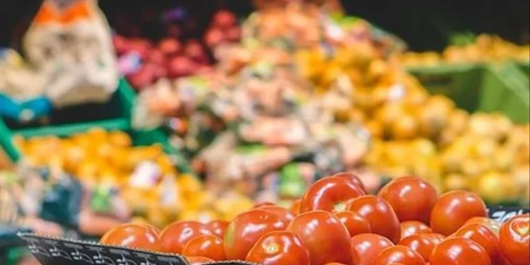 TCMB anketine göre 2025 sonu enflasyon beklentisi %28,04