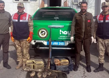 Bitlis'te kaçak keklik avcılarına 114 bin TL ceza kesildi