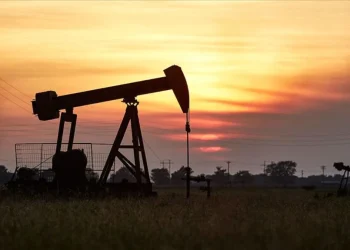 ABD 2025 petrol fiyatları için tahminler açıklandı