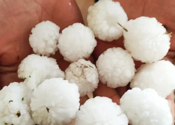 Tarım Üzerinde Büyük Hasar