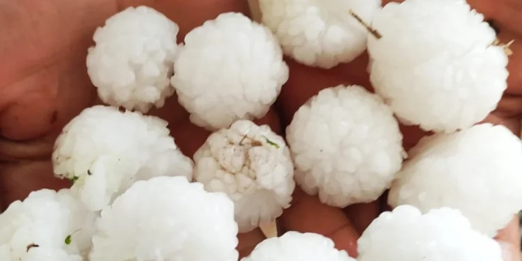 Tarım Üzerinde Büyük Hasar