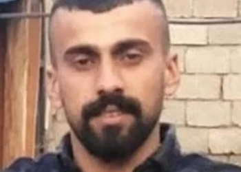 Tüm Müdahalelere Rağmen Kurtarılamadı