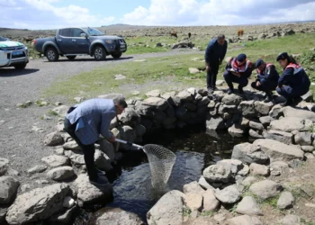 Karacadağ’ın Gölgesinde Saklı Cennet: Doğal Akvaryum Turizme Açılıyor
