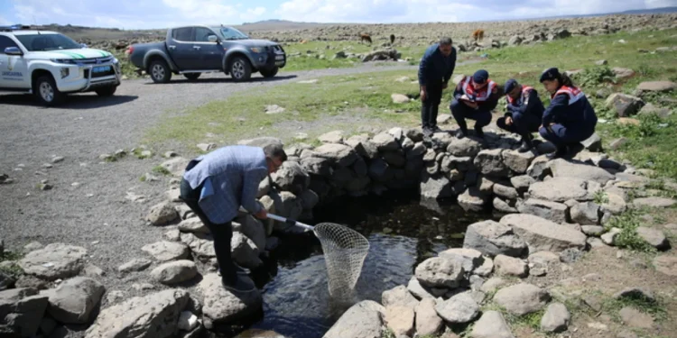 Karacadağ’ın Gölgesinde Saklı Cennet: Doğal Akvaryum Turizme Açılıyor