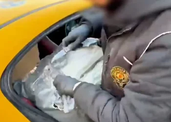 İstanbul'da dev skunk operasyonu: 880 kg yakalandı